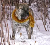 IMG_0298 Фэбиан для Мадлен 4 для сайта.webp