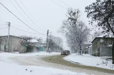 VT6N7974.webp