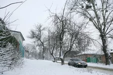 VT6N7978.webp