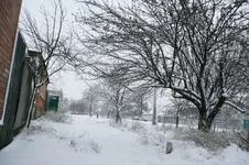 VT6N7983.webp