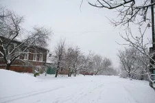 VT6N7994.webp