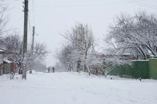 VT6N8002.webp