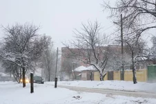 VT6N8003.webp