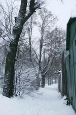 VT6N8021.webp