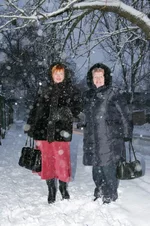 VT6N8022.webp