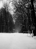 DSC_0056-00.webp