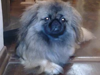 0186_001.webp