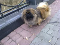 0180.webp