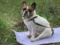 iPhotos 215 (Small).webp