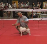 IMG_3152(1) (Small).webp