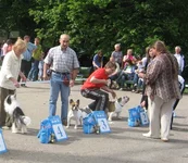 IMG_3095(1) (Small).webp