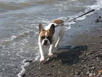 IMG_2693 (Small).webp