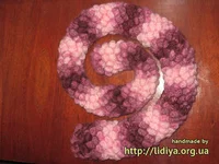 IMG_0223.webp