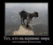  козел.webp