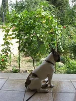 IMG_2701 (Small).webp