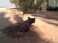 IMG_20110709_082727.webp