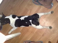 290320111061.webp