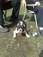 240420111094.webp