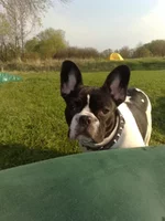 020520111104.webp