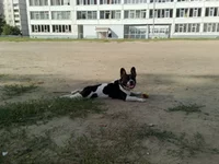130820111276.webp