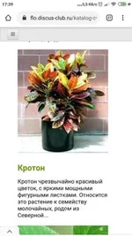dac5ed90ed3bef8a8c10.webp
