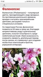 27aa417c9888a56660f.webp