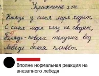 7c8f5ec8791ce3bd0c9.jpg