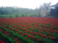01052010115.webp
