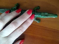IMG-20120110-00662.jpg