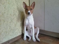 IMG845-01.webp