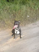 SAM_2077.webp