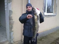 10012012310.webp
