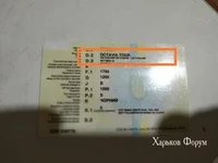 81837829e532cbe340328f.webp
