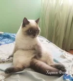bbee24f0c3e767e6.webp