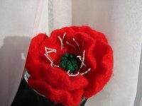 DSC00355.JPG