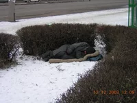 DSCN1779.webp