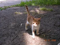 DSCN8601.webp