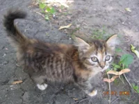 DSCN8602.webp