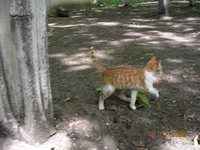 DSCN8606.webp