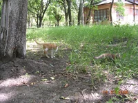 DSCN8607.webp