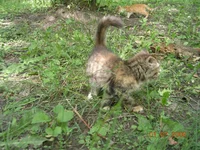 DSCN8611.webp