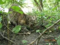 DSCN8615.webp