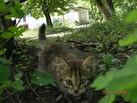 DSCN8616.webp