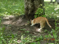 DSCN8618.webp