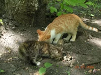 DSCN8619.webp