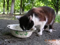 DSCN8621.webp