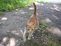 DSCN8627.webp