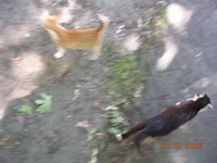 DSCN8628.webp