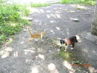 DSCN8629.webp