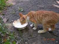 DSCN8633.webp